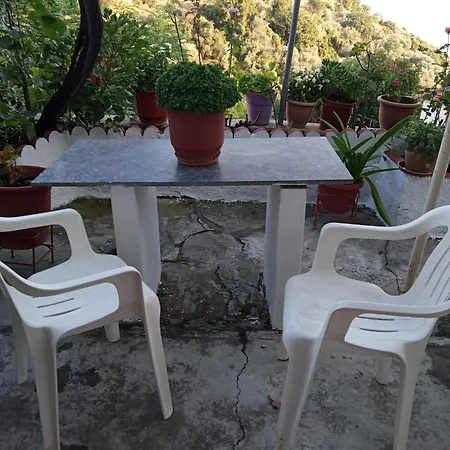 Thalia's House Apartmán